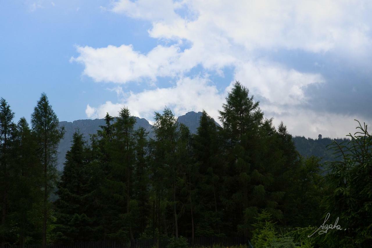 Apartament Królewski – Zakopane Exterior foto